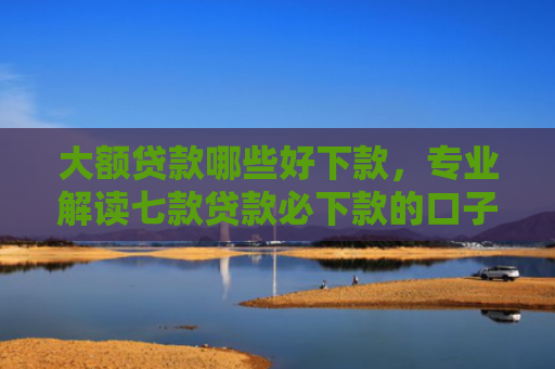 大额贷款哪些好下款，专业解读七款贷款必下款的口子最新