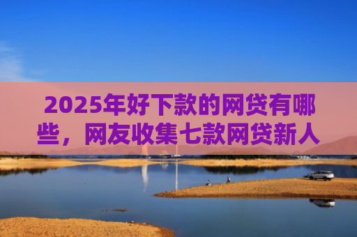 2025年好下款的网贷有哪些，网友收集七款网贷新人下款口子