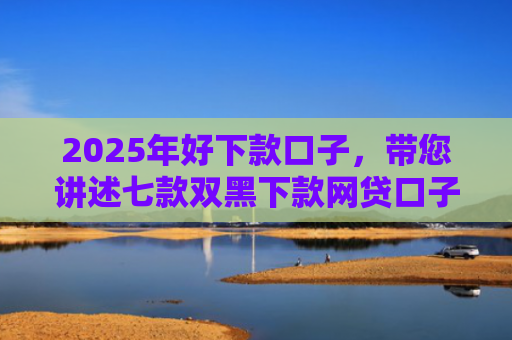2025年好下款口子，带您讲述七款双黑下款网贷口子