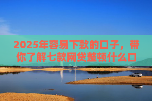 2025年容易下款的口子，带你了解七款网贷整顿什么口子下款