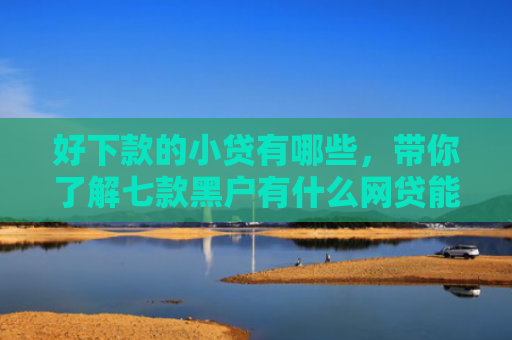 好下款的小贷有哪些，带你了解七款黑户有什么网贷能下款