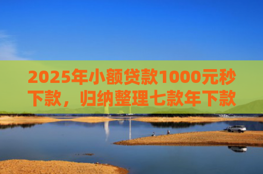 2025年小额贷款1000元秒下款，归纳整理七款年下款的网贷口子