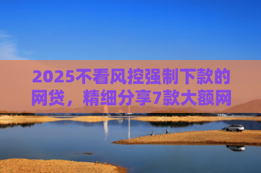 2025不看风控强制下款的网贷，精细分享7款大额网贷下款口子