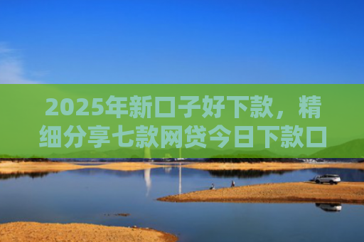 2025年新口子好下款，精细分享七款网贷今日下款口子