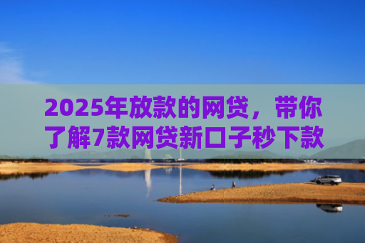 2025年放款的网贷，带你了解7款网贷新口子秒下款