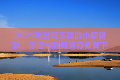 2025年最好下款的小额贷款，深挖七款网贷办会员下款口子