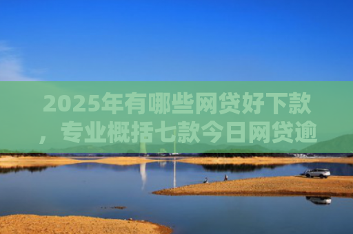 2025年有哪些网贷好下款，专业概括七款今日网贷逾期下款口子