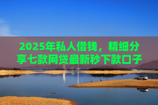 2025年私人借钱，精细分享七款网贷最新秒下款口子