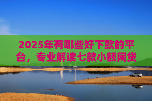 2025年有哪些好下款的平台，专业解读七款小额网贷下款快口子