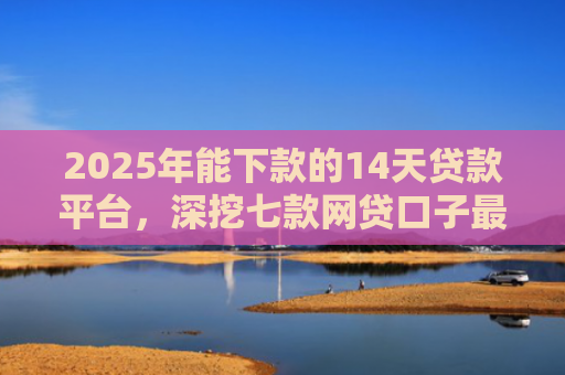 2025年能下款的14天贷款平台，深挖七款网贷口子最容易下款