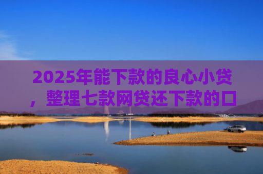 2025年能下款的良心小贷，整理七款网贷还下款的口子