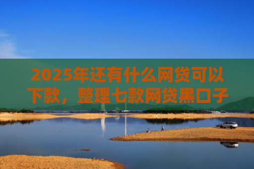 2025年还有什么网贷可以下款，整理七款网贷黑口子必下款