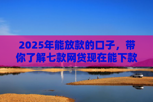 2025年能放款的口子，带你了解七款网贷现在能下款口子