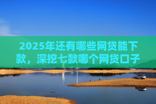 2025年还有哪些网贷能下款，深挖七款哪个网贷口子下款最快