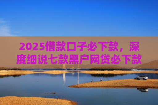 2025借款口子必下款，深度细说七款黑户网贷必下款口子