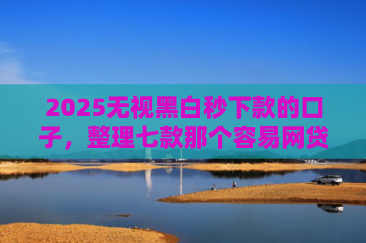 2025无视黑白秒下款的口子，整理七款那个容易网贷下款的口子