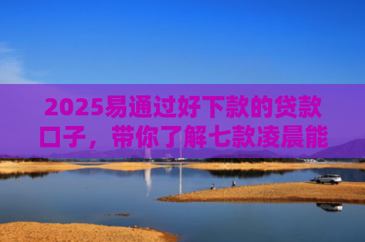 2025易通过好下款的贷款口子，带你了解七款凌晨能下款的网贷口子