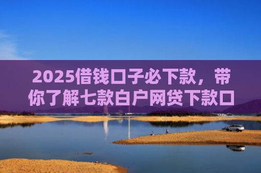 2025借钱口子必下款，带你了解七款白户网贷下款口子
