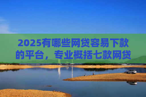 2025有哪些网贷容易下款的平台，专业概括七款网贷买会员必下款口子