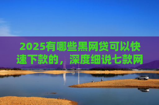 2025有哪些黑网贷可以快速下款的，深度细说七款网贷哪个口子好下款呢