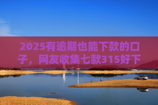 2025有逾期也能下款的口子，网友收集七款315好下款的网贷口子