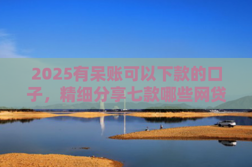 2025有呆账可以下款的口子，精细分享七款哪些网贷口子好下款的