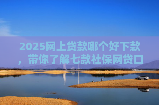 2025网上贷款哪个好下款，带你了解七款社保网贷口子那个下款快