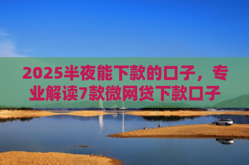 2025半夜能下款的口子，专业解读7款微网贷下款口子