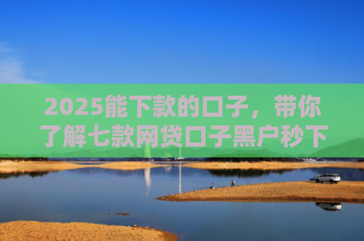 2025能下款的口子，带你了解七款网贷口子黑户秒下款