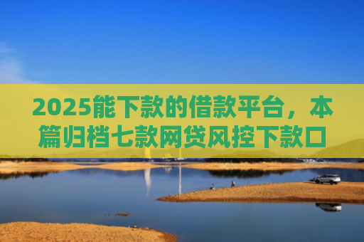 2025能下款的借款平台，本篇归档七款网贷风控下款口子