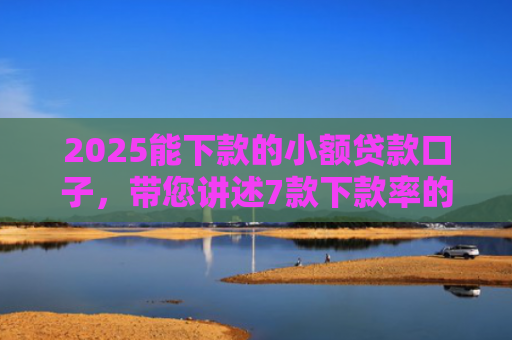 2025能下款的小额贷款口子，带您讲述7款下款率的网贷口子