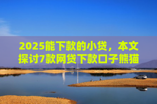 2025能下款的小贷，本文探讨7款网贷下款口子熊猫应急