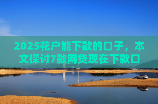 2025花户能下款的口子，本文探讨7款网贷现在下款口子