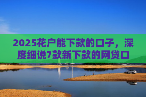2025花户能下款的口子，深度细说7款新下款的网贷口子
