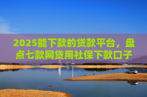 2025能下款的贷款平台，盘点七款网贷用社保下款口子