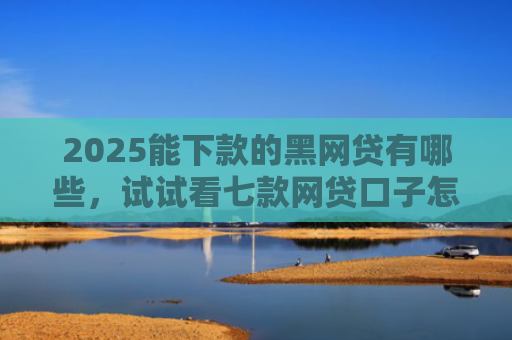 2025能下款的黑网贷有哪些，试试看七款网贷口子怎么好下款
