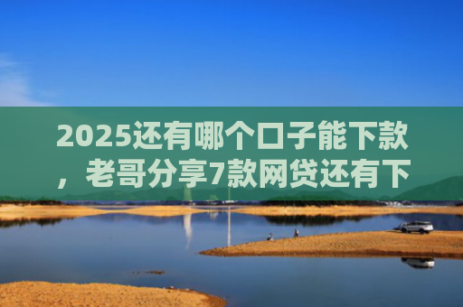 2025还有哪个口子能下款，老哥分享7款网贷还有下款口子吗