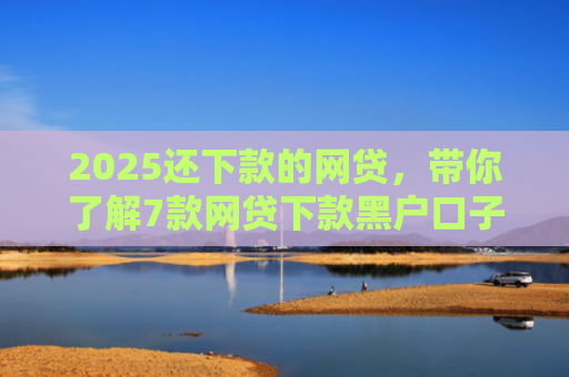 2025还下款的网贷，带你了解7款网贷下款黑户口子