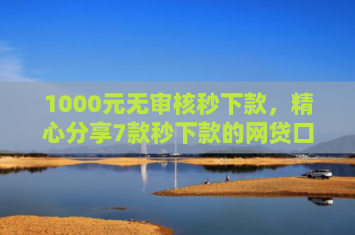 1000元无审核秒下款，精心分享7款秒下款的网贷口子