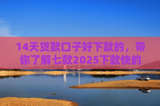 14天贷款口子好下款的，带你了解七款2025下款快的网贷口子