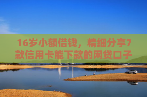 16岁小额借钱，精细分享7款信用卡能下款的网贷口子