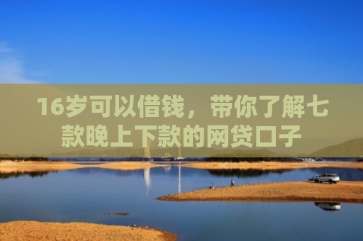 16岁可以借钱，带你了解七款晚上下款的网贷口子