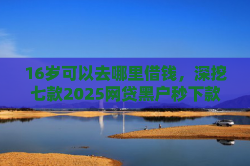 16岁可以去哪里借钱，深挖七款2025网贷黑户秒下款的口子