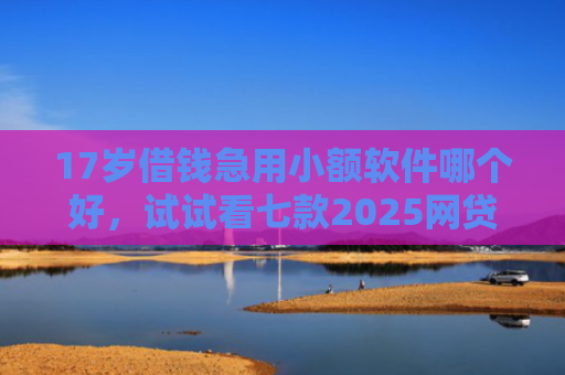 17岁借钱急用小额软件哪个好，试试看七款2025网贷下款口子