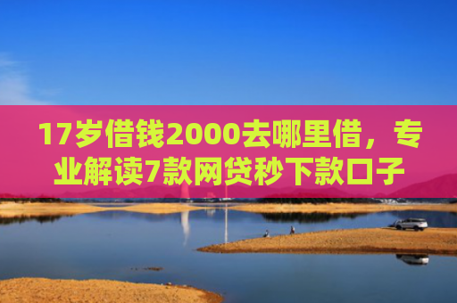17岁借钱2000去哪里借，专业解读7款网贷秒下款口子