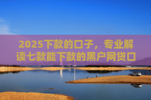 2025下款的口子，专业解读七款能下款的黑户网贷口子