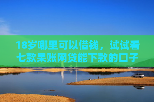 18岁哪里可以借钱，试试看七款呆账网贷能下款的口子