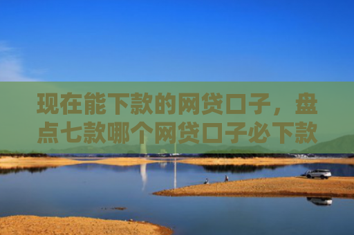 现在能下款的网贷口子，盘点七款哪个网贷口子必下款