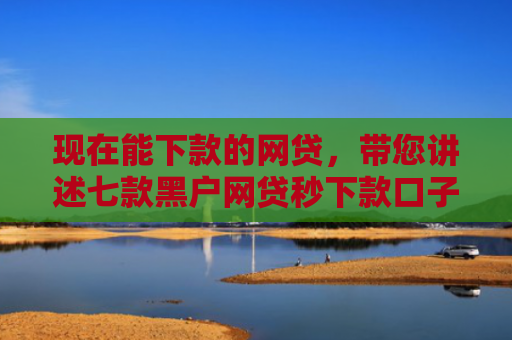 现在能下款的网贷，带您讲述七款黑户网贷秒下款口子