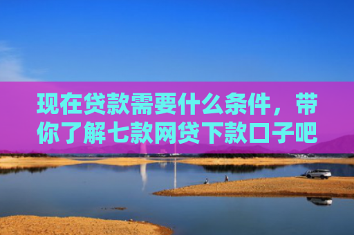 现在贷款需要什么条件，带你了解七款网贷下款口子吧